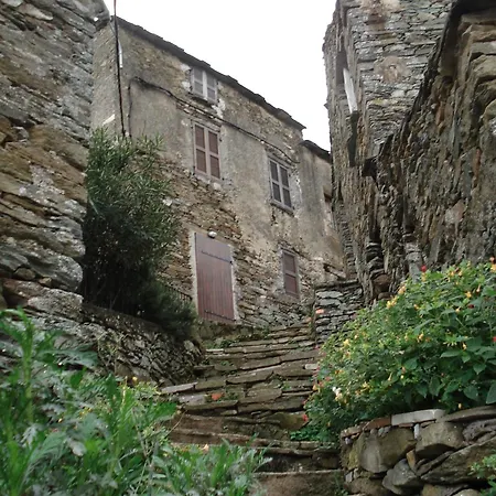 Vakantiehuis Le Vieux Figuier