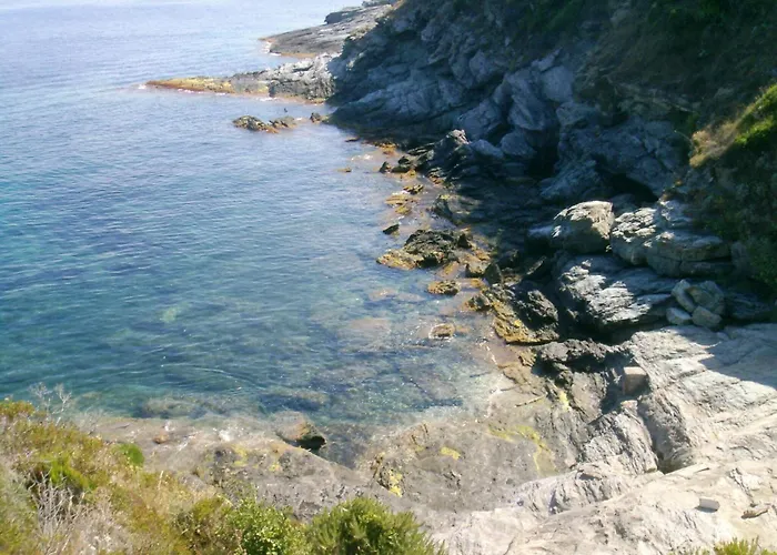 Hébergement de vacances Le Vieux Figuier *