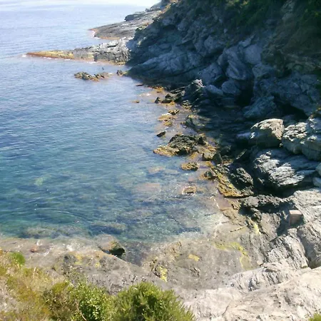 Hébergement de vacances Le Vieux Figuier *