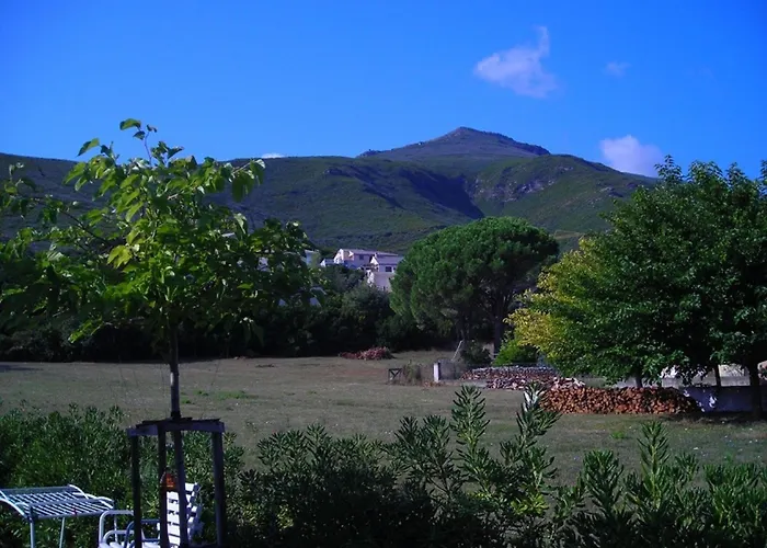 Le Vieux Figuier * Sisco