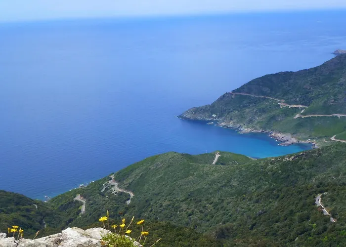 Vakantiehuis Le Vieux Figuier *