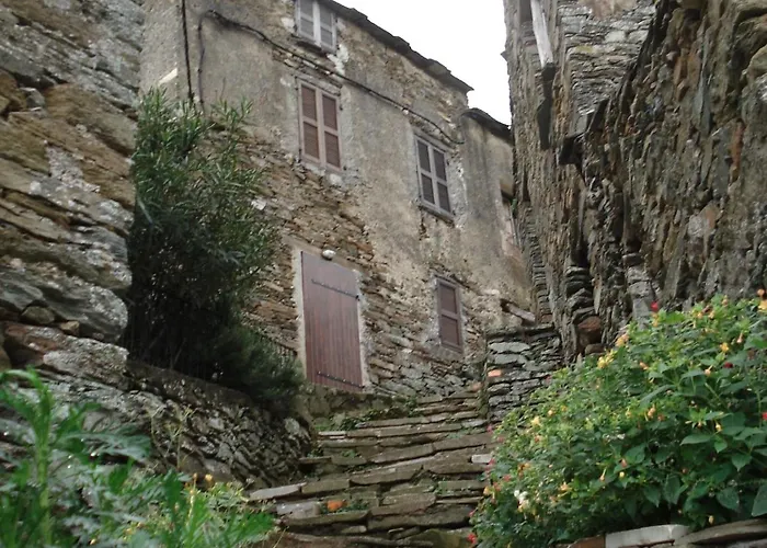 Vakantiehuis Le Vieux Figuier